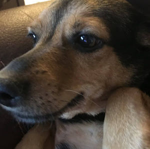 Meet your Posher, Colton